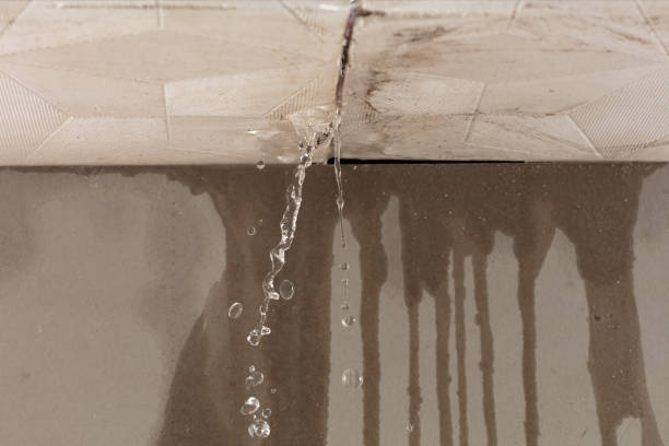 Professional Burst Pipe Cleanup technician working in Dorchester, MA